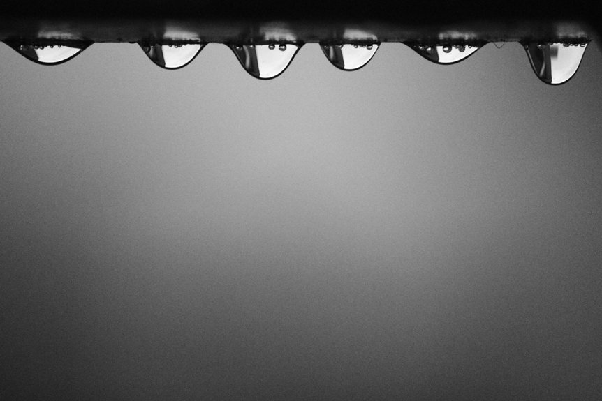 small business web design